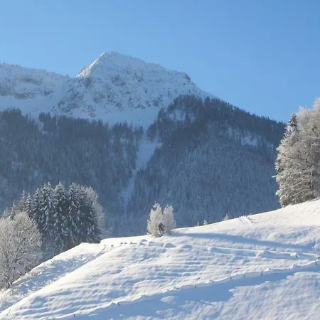 Haus Bergschmied Apartment Inzell