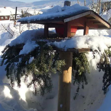 Haus Bergschmied * Inzell