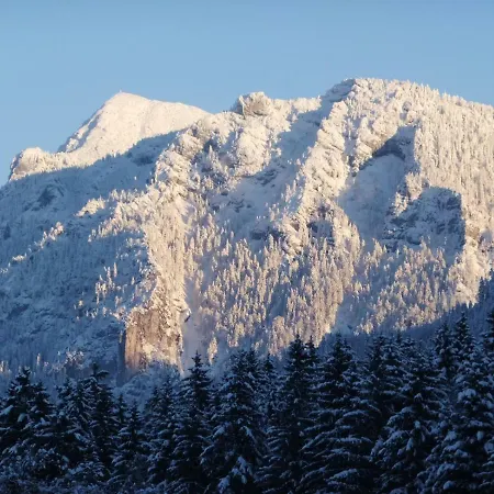 Haus Bergschmied * Inzell