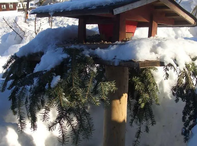 Haus Bergschmied * Inzell